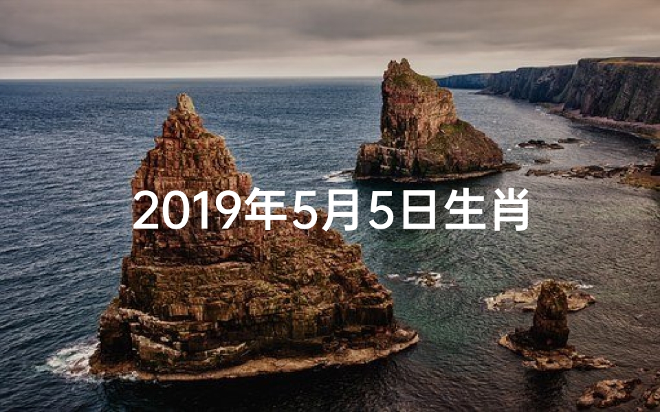 2019年5月5日生肖运势大揭秘
