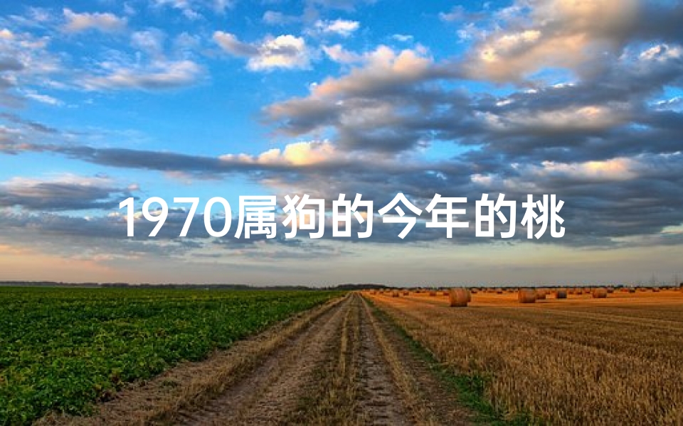 1970属狗的今年的桃花运怎么样-狗年生肖桃花旺,70年运势大放异彩