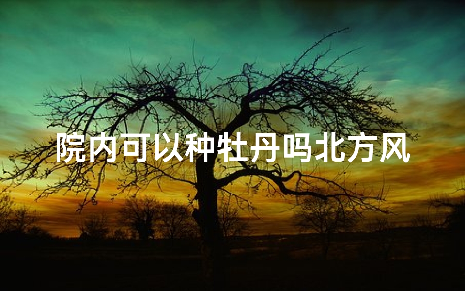 院内可以种牡丹吗北方风水-院内栽牡丹花风水好吗