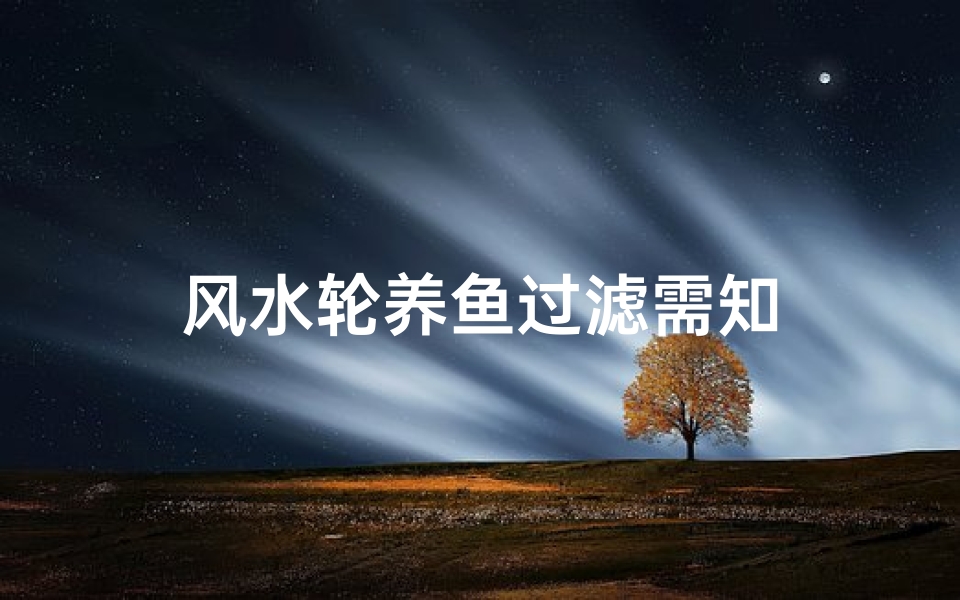 风水轮养鱼过滤需知