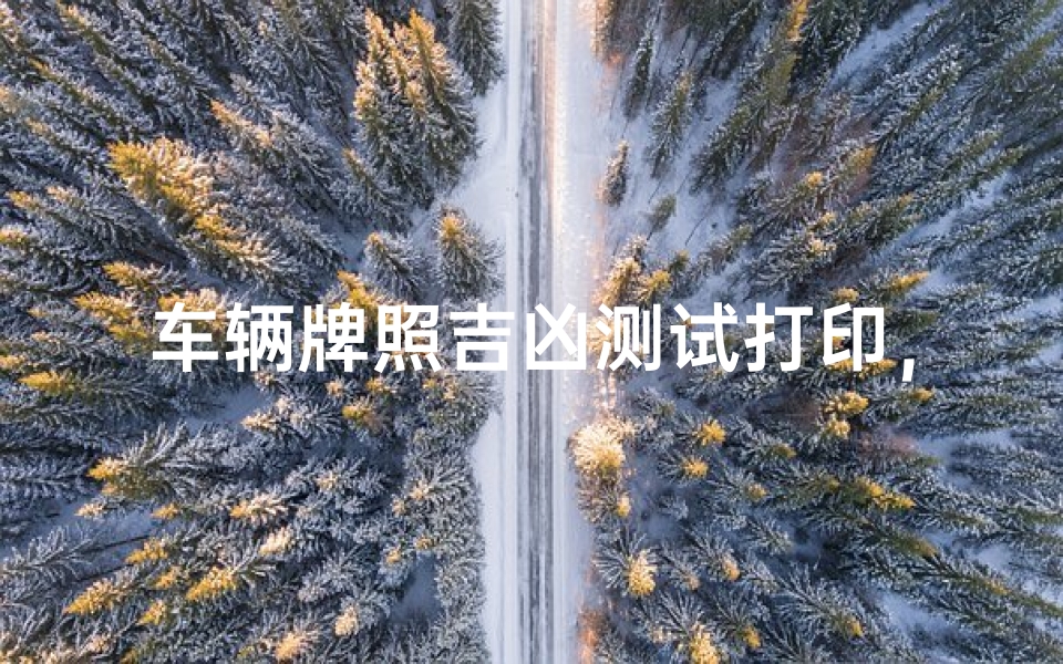 车辆牌照吉凶测试打印,数字玄学与出行安全的深层解读