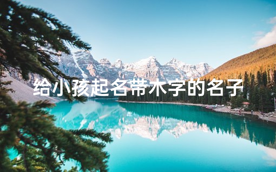 给小孩起名带木字的名子;《木字宝宝名字精选:寓意生机盎然,传承自然之美》