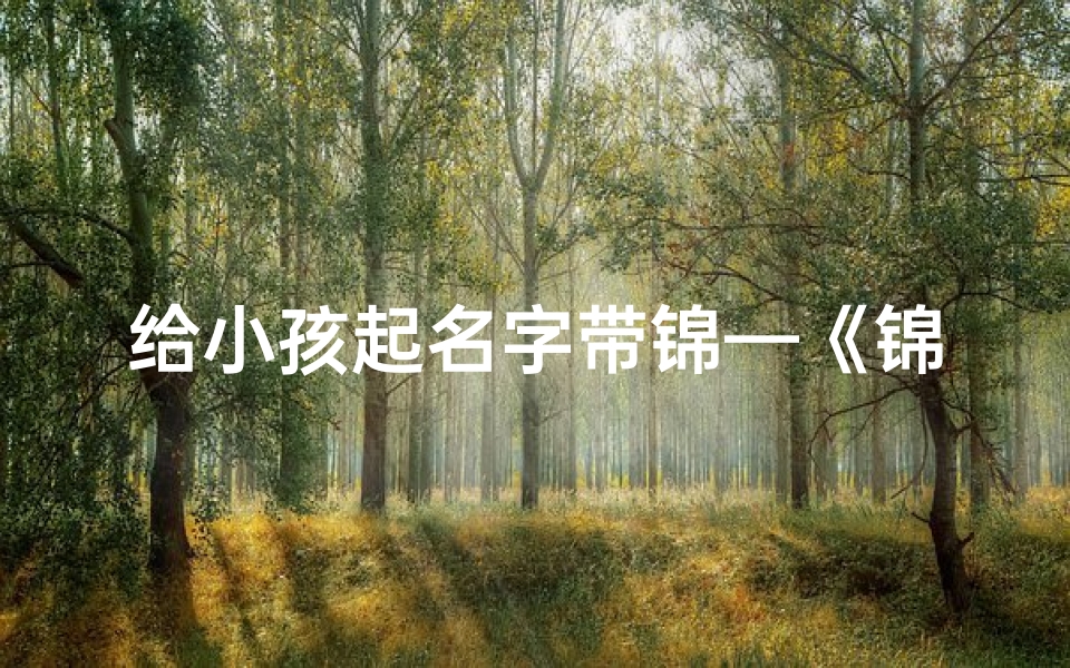 给小孩起名字带锦—《锦字寓意美好,为宝宝起名新灵感》