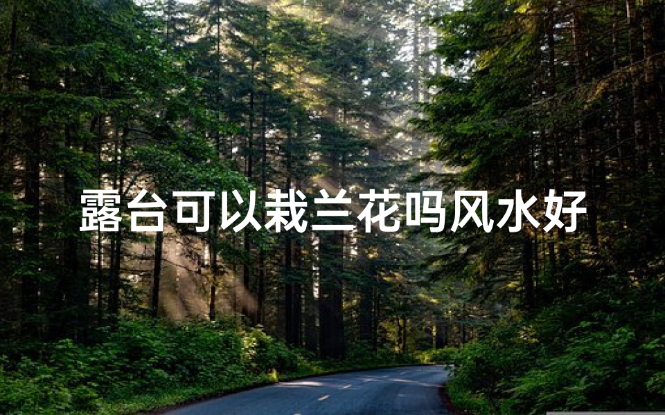 露台可以栽兰花吗风水好吗视频、露台兰花风水解析:宜栽植吗?