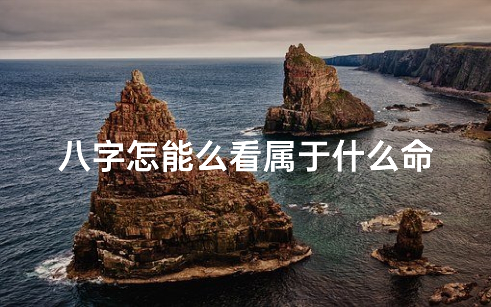 八字怎能么看属于什么命—八字命理:如何准确评判命运好坏