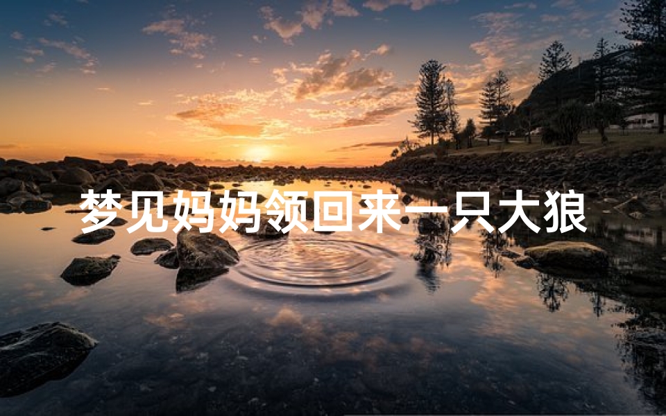 梦见妈妈领回来一只大狼狗—梦见一只狗妈妈带来很多狗宝宝