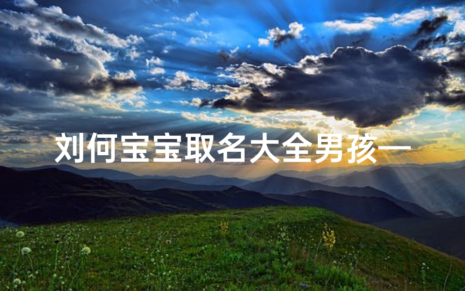 刘何宝宝取名大全男孩—何字和刘字取名