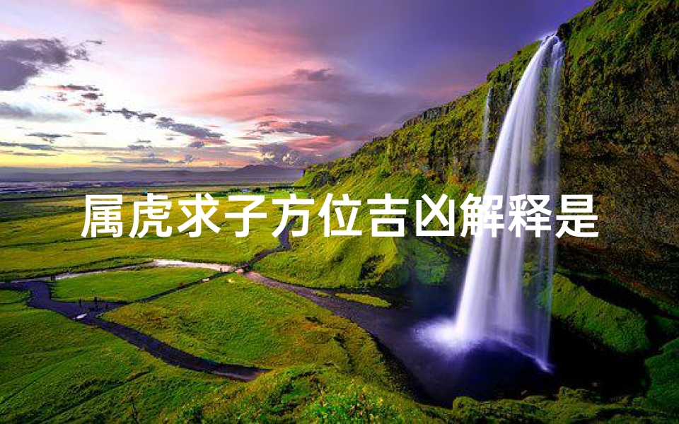 属虎求子方位吉凶解释是什么-属虎求子方位吉凶解释是什么意思