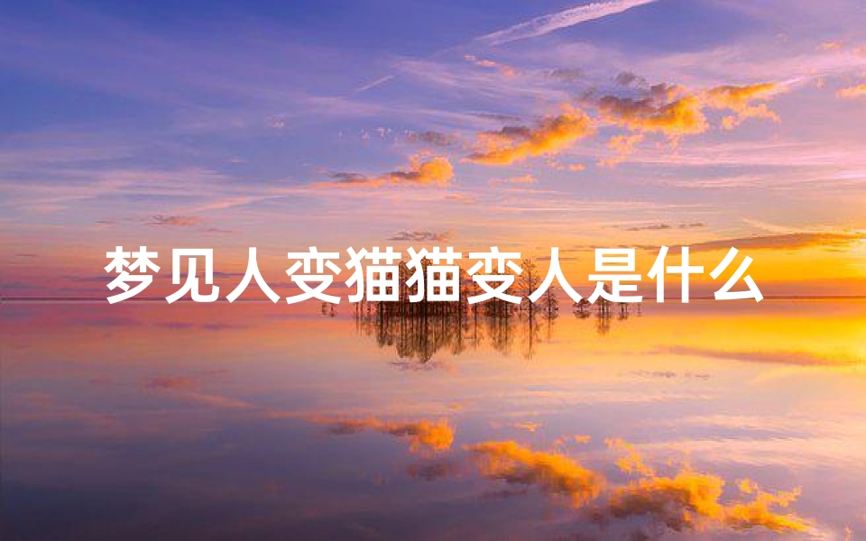 梦见人变猫猫变人是什么意思-做梦梦见人变猫