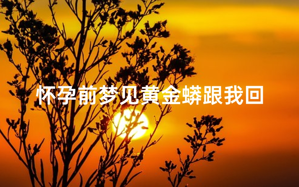 怀孕前梦见黄金蟒跟我回家_孕妇梦见黄金蟒追自己