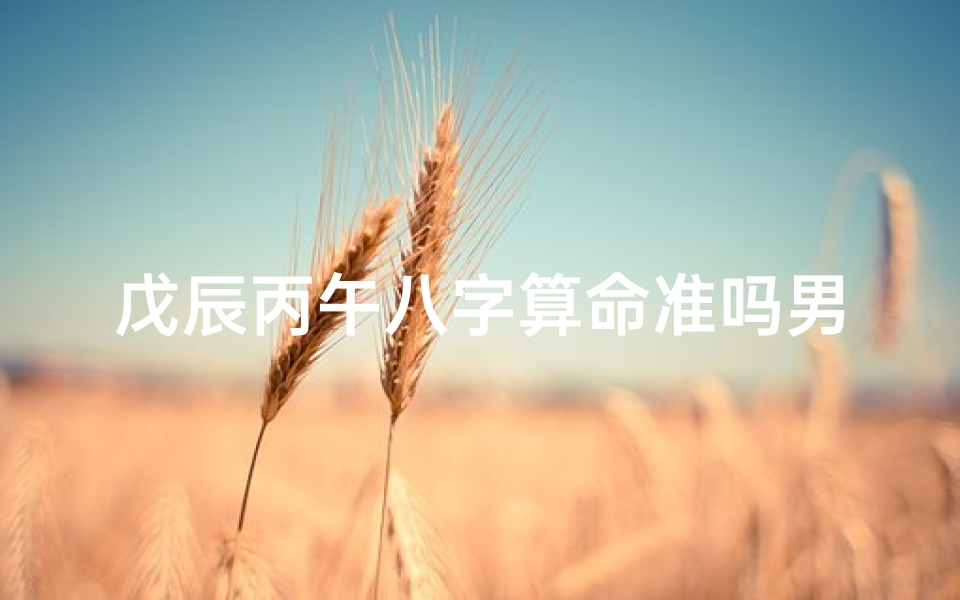 戊辰丙午八字算命准吗男(算俩人的八字合不合适,算两个人八字合不合)