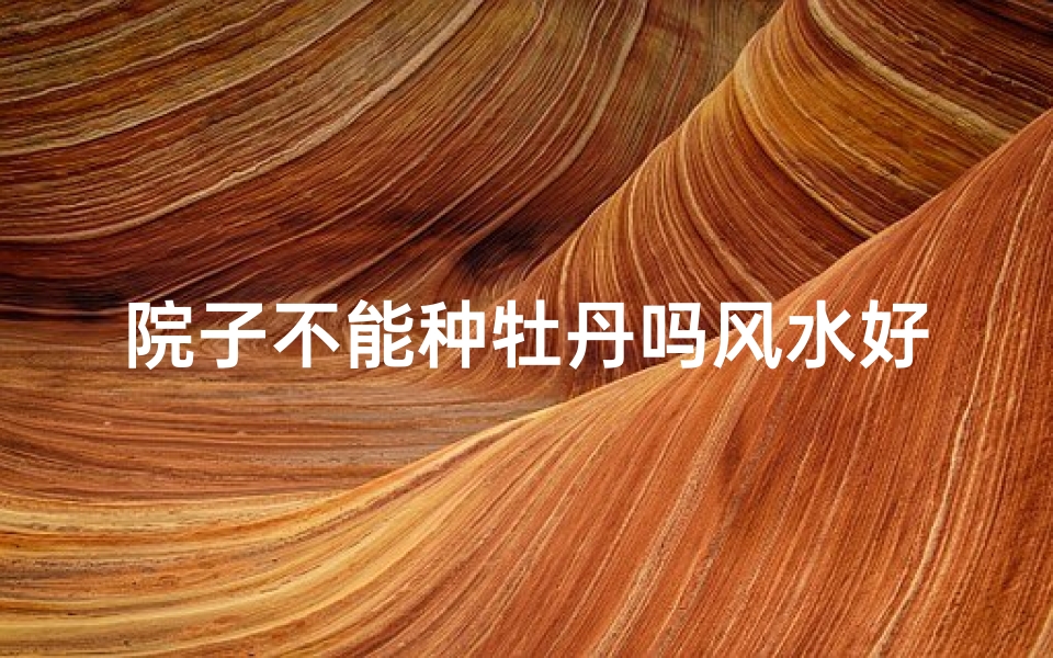 院子不能种牡丹吗风水好吗,院子不能种牡丹?风水揭秘