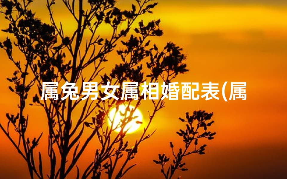 属兔男女属相婚配表(属兔的属相婚配表)