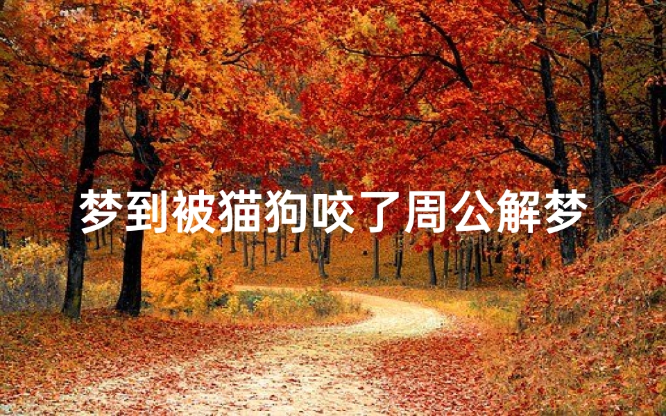 梦到被猫狗咬了周公解梦(梦到被猫咬是什么征兆)