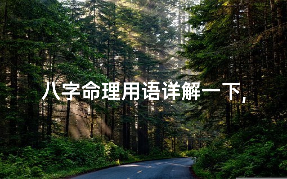 八字命理用语详解一下,八字命理经典口诀大全