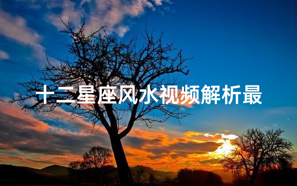 十二星座风水视频解析最新(苏珊米勒十二星座每日运势解析4月14日)