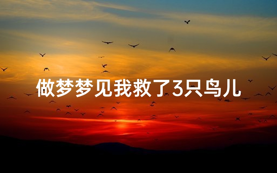 做梦梦见我救了3只鸟儿(梦见救了三只小鸟的命)