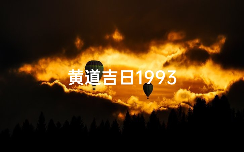 黄道吉日1993