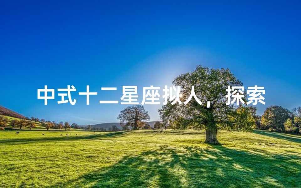中式十二星座拟人,探索东方星象的独特魅力