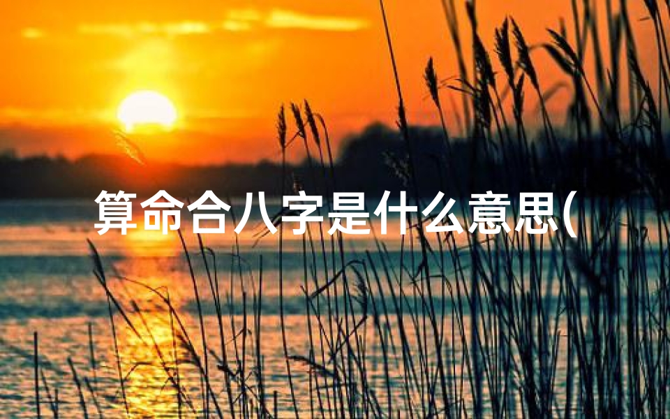 算命合八字是什么意思(合八字怎么合)