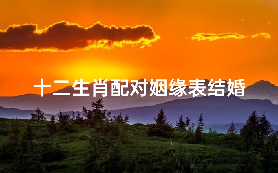 十二生肖配对姻缘表结婚年龄最新(十二属相哪年结婚好表,12生肖最佳结婚年龄表)
