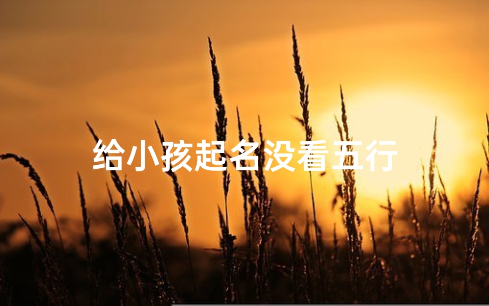 给小孩起名没看五行