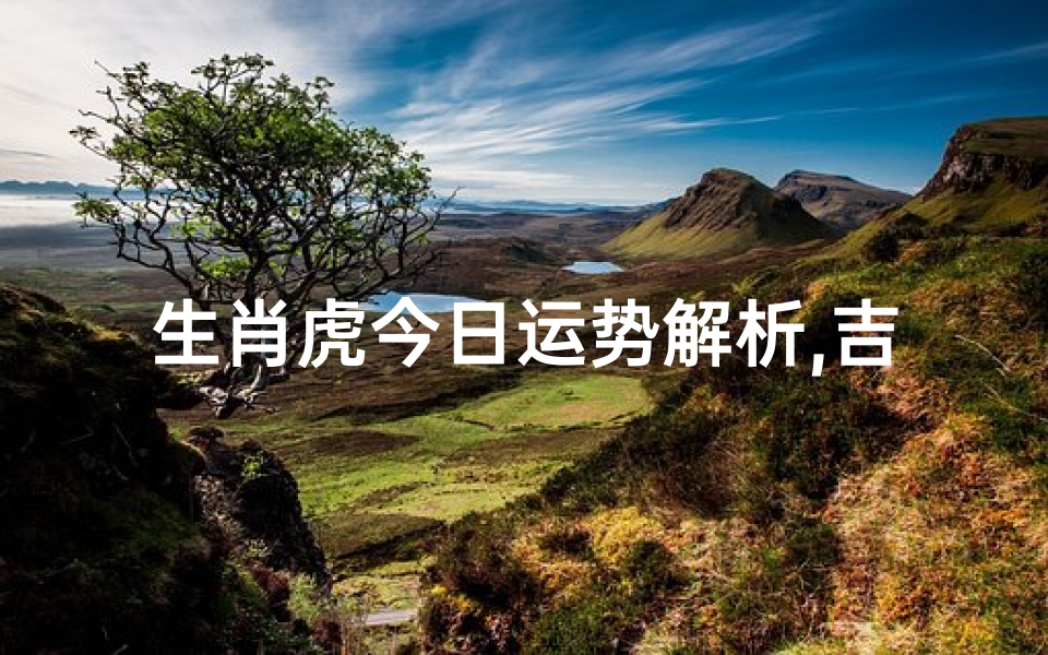 生肖虎今日运势解析,吉凶预测-每日运势查询指南