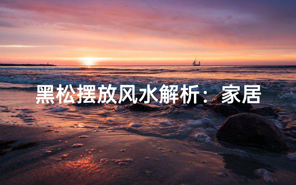 黑松摆放风水解析:家居店必备良品