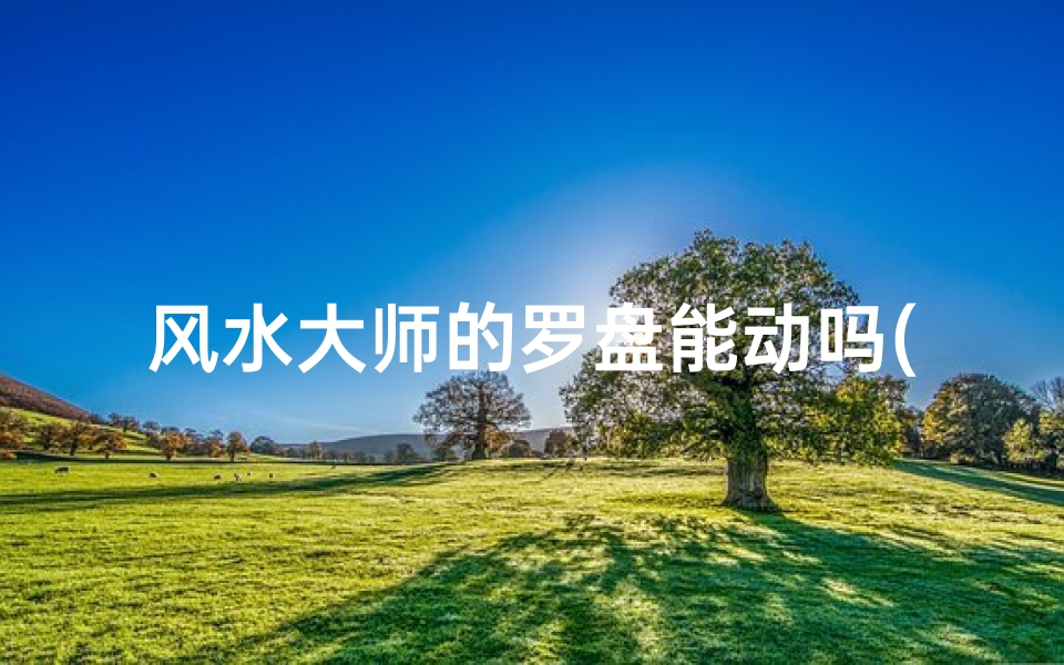 风水大师的罗盘能动吗(风水师 罗盘)