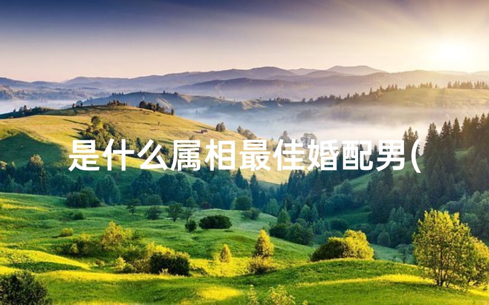 是什么属相最佳婚配男(十二生肖男女最佳的婚配)