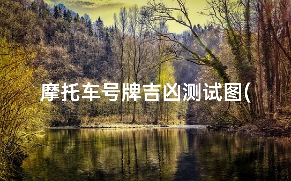摩托车号牌吉凶测试图(造车不为挣钱 长城魏老板 正是在下 )