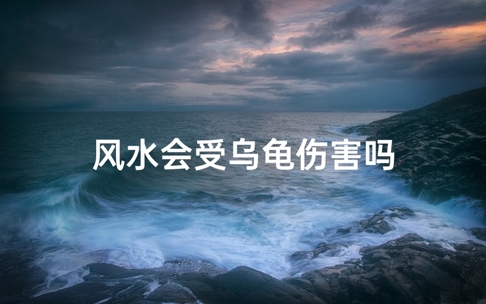 风水会受乌龟伤害吗