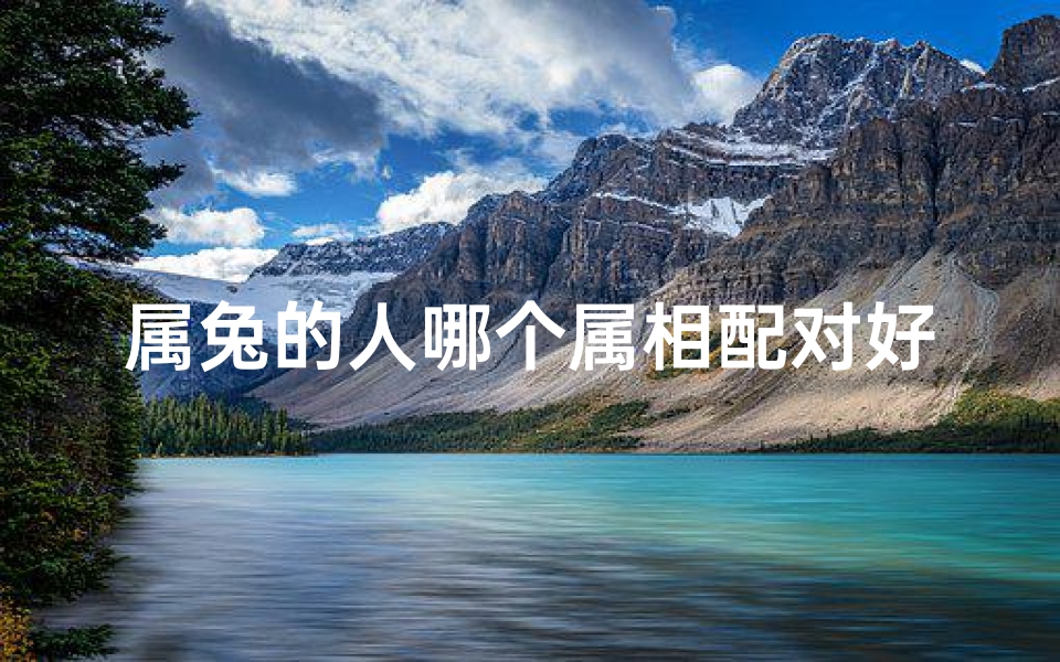 属兔的人哪个属相配对好(属兔的和什么属相最配)