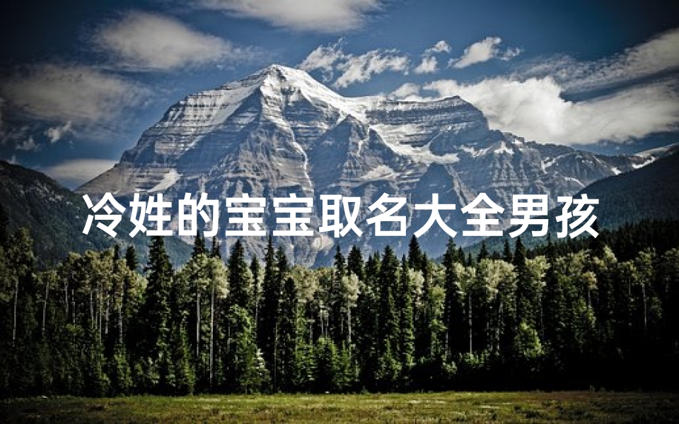 冷姓的宝宝取名大全男孩