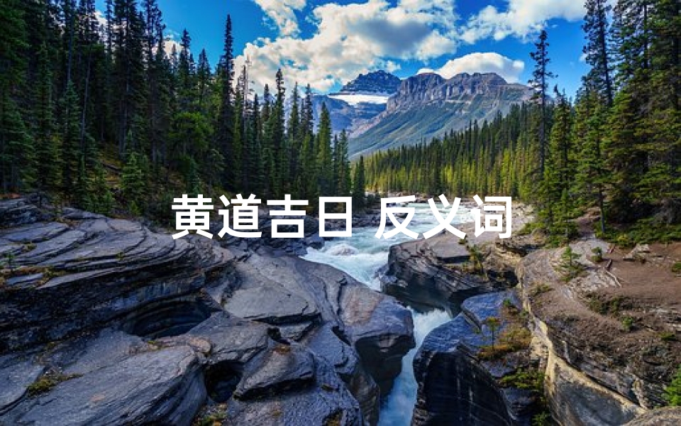 黄道吉日 反义词