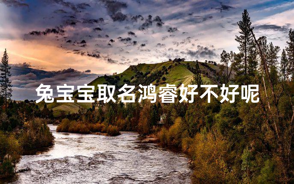 兔宝宝取名鸿睿好不好呢_兔宝宝取名鸿睿:寓意深远,智慧成长