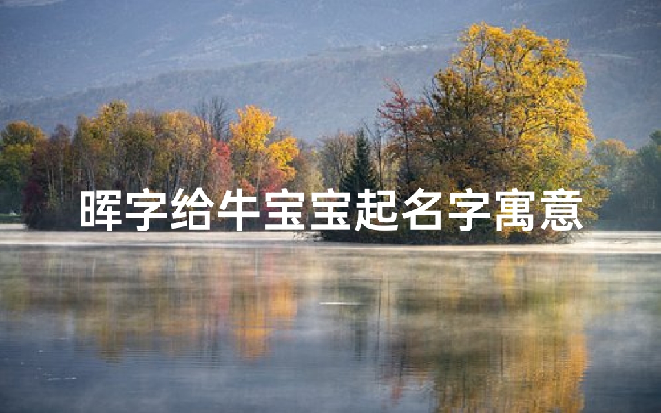 晖字给牛宝宝起名字寓意(牛年宝宝起名宜用字)