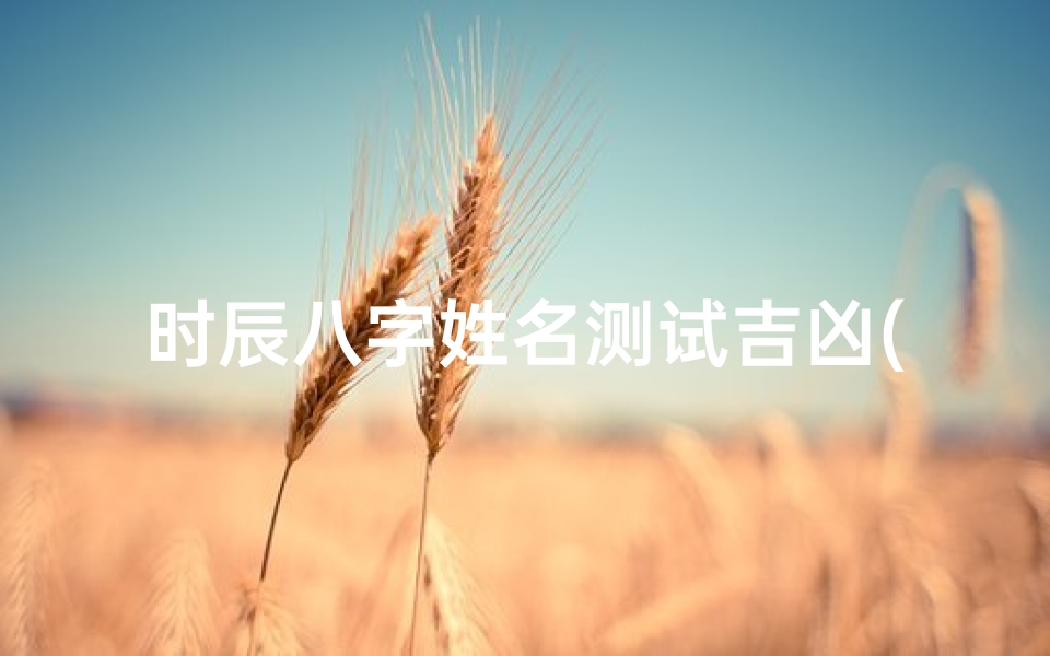 时辰八字姓名测试吉凶(潘世杰姓名测试打分生辰八字)