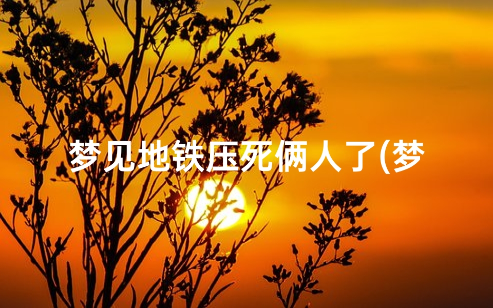 梦见地铁压死俩人了(梦见地铁压死俩人了什么意思)