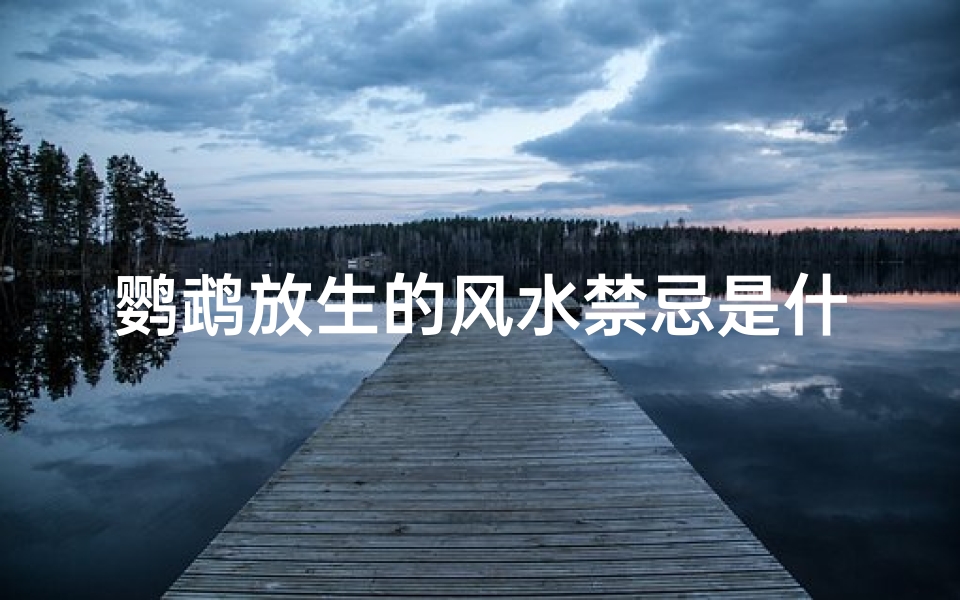 鹦鹉放生的风水禁忌是什么(鹦鹉飞进家里预示什么)
