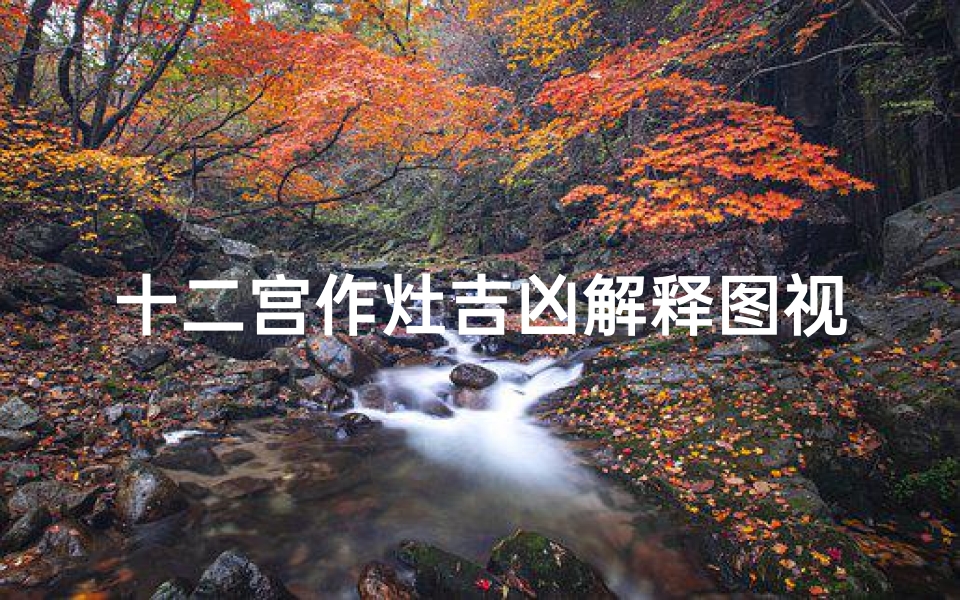 十二宫作灶吉凶解释图视频;灶神星十二宫