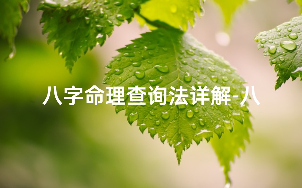 八字命理查询法详解-八字命理查询法深度解析:揭秘命运奥秘