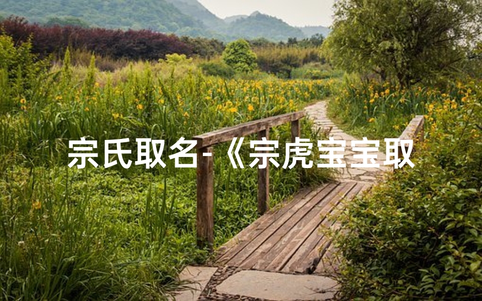 宗氏取名-《宗虎宝宝取名:如何为帅气男孩起名?》
