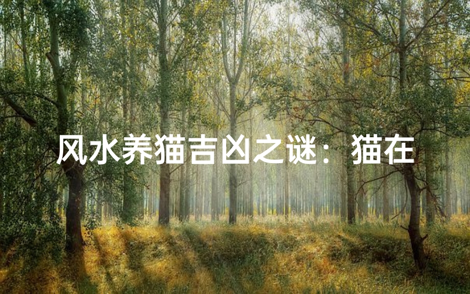 风水养猫吉凶之谜:猫在家中养有何影响?