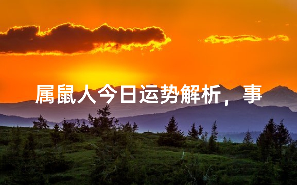 属鼠人今日运势解析,事业财运与健康全指南