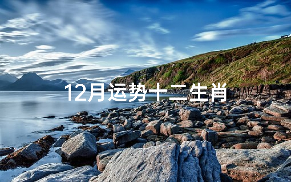 12月运势十二生肖