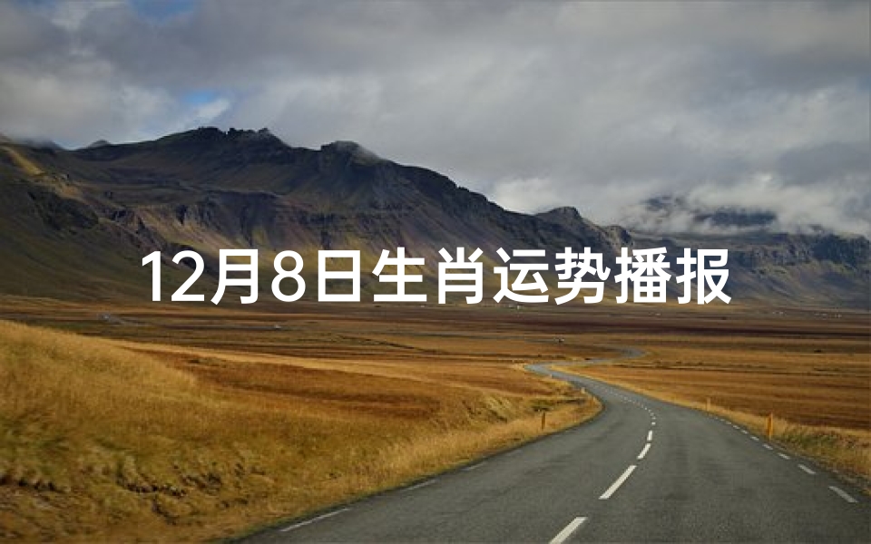 12月8日生肖运势播报,12月8日生肖运势揭秘:喜忧参半,运势大揭秘