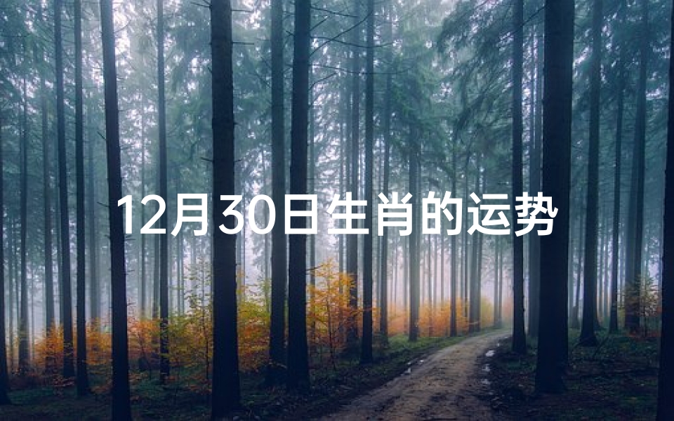 12月30日生肖的运势,2020年12月30号12生肖财运