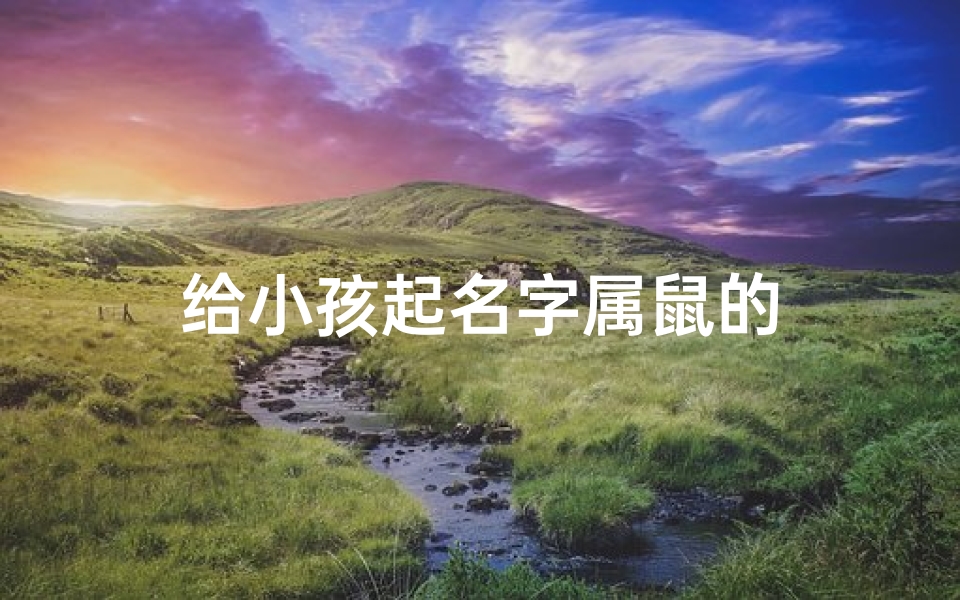 给小孩起名字属鼠的