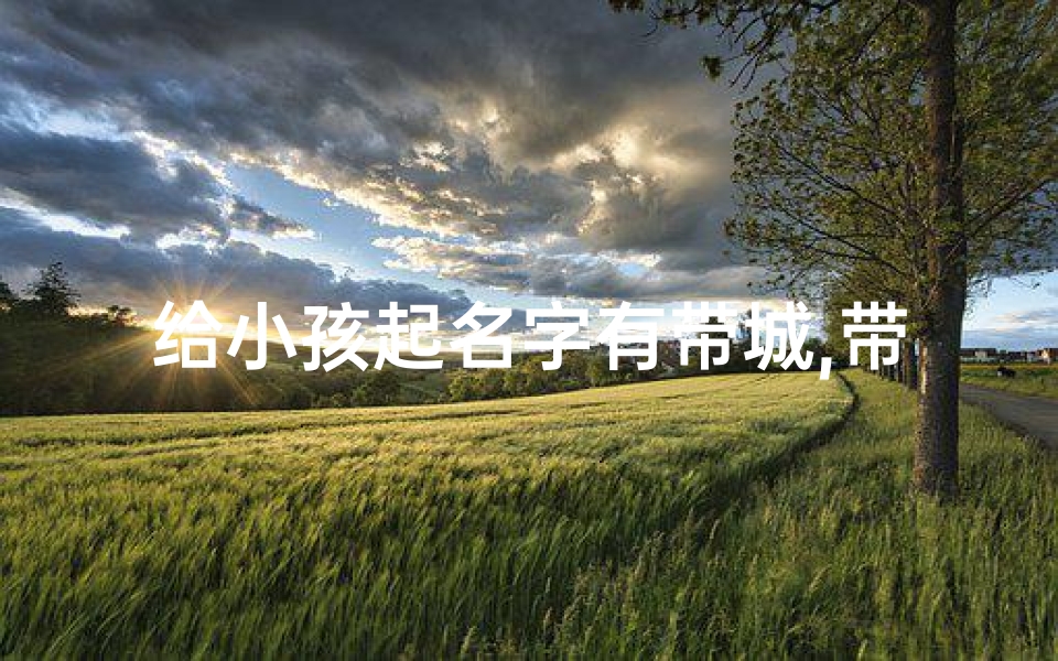 给小孩起名字有带城,带城字好听的名字